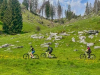 Tour guidato in E-bike "Altopiano d'alta quota" - Rifugio Valmaron, Enego, 31 agosto 2024