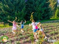 Settimana verde per bambini a Il Cason delle meraviglie di Treschè Conca - dal 26 al 30 agosto 2024