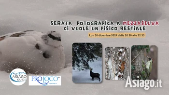 serata fotografica a mezzaselva sugli animali dell