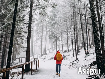 avventura nella foresta sull altopiano di asiago e