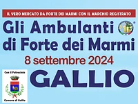 "Gli Ambulanti di Forte dei Marmi” a Gallio - domenica 8 settembre 2024