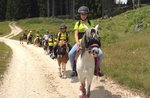 Roana Reiten Pony für Kinder im Jahr 2017-Teich von Roana Altopiano di Asiago